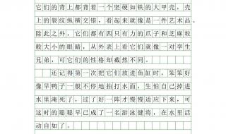 我的动物朋友作文400字