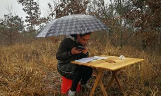 云顶上的女孩免费阅读