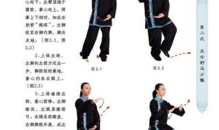 二十四式太极拳视频下载