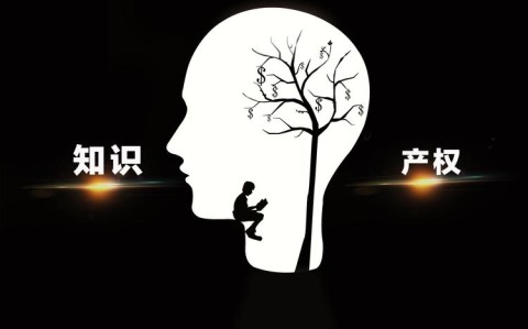 中国主导核心专利（核心专利的特征）