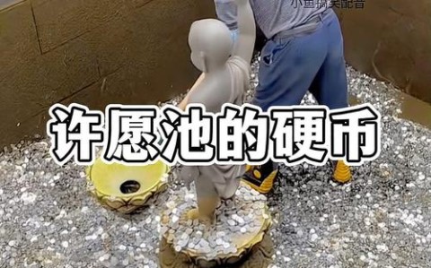 许愿池硬币变善款（许愿硬币怎么用）