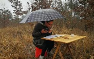 云顶天宫为胖子上药的女孩是谁 云顶上的女孩免费阅读