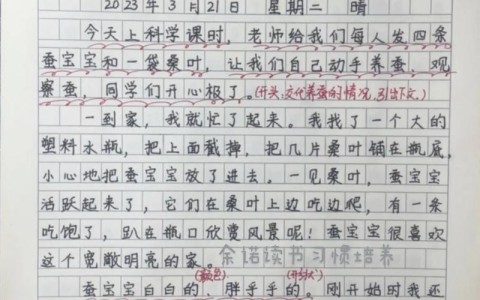 全职儿女观察日记（全职儿女观察日记怎么写）