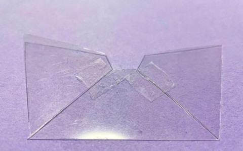 全息投影宠物（全息投影宠物怎么做）