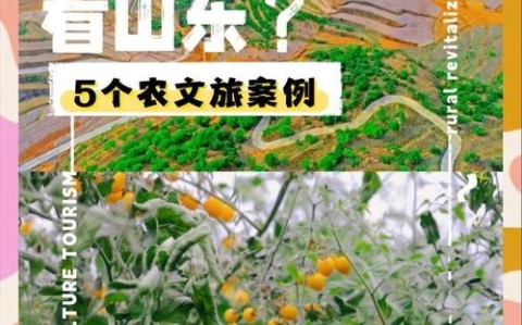 山东农村试点‌的简单介绍