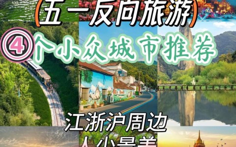反向旅游新玩法（旅游反向拍卖平台有哪些）