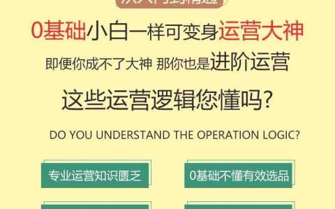 亚马逊跨境电商运营从入门到精通