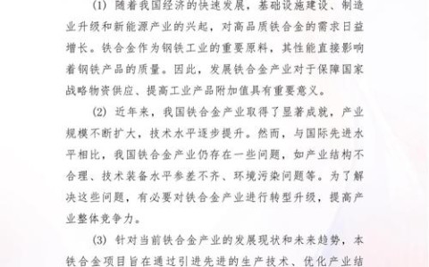2025年评估报告（评估报告会）