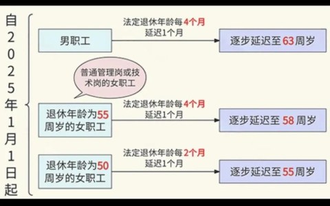 2025年政策延续（2025年延迟退休政策是真的吗）