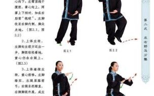 1杨氏二十四式太极拳的起源 二十四式太极拳视频下载