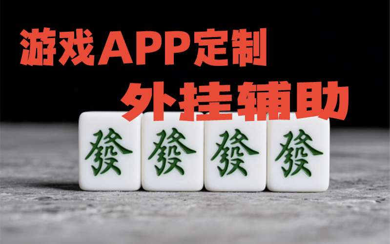 玩家必看攻略“十三道开挂辅助!详细分享装挂步骤 p3