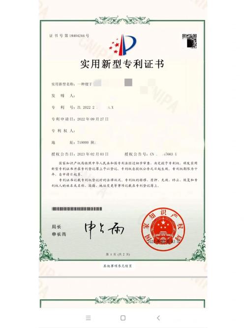中国主导核心专利（核心专利的特征）