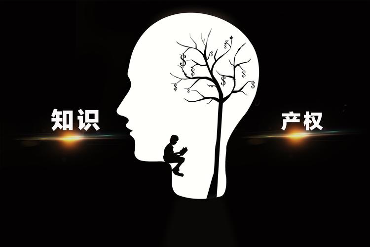 中国主导核心专利（核心专利的特征）