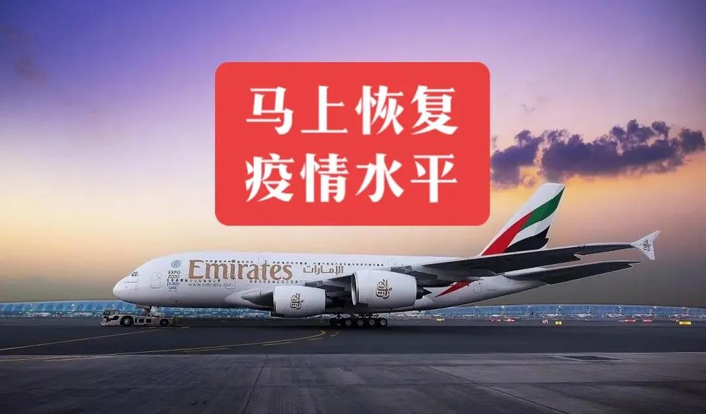 阿联酋同步暂停航空航班(阿联酋航空什么时候恢复)