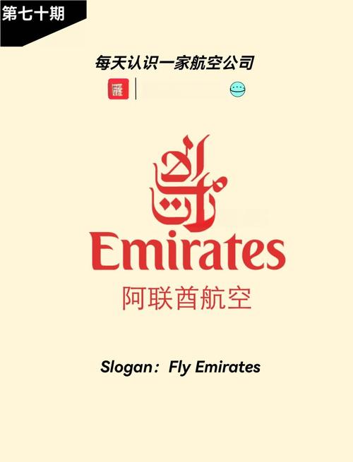 阿联酋同步暂停航空航班(阿联酋航空什么时候恢复)