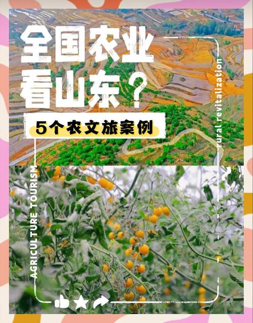 山东农村试点‌的简单介绍