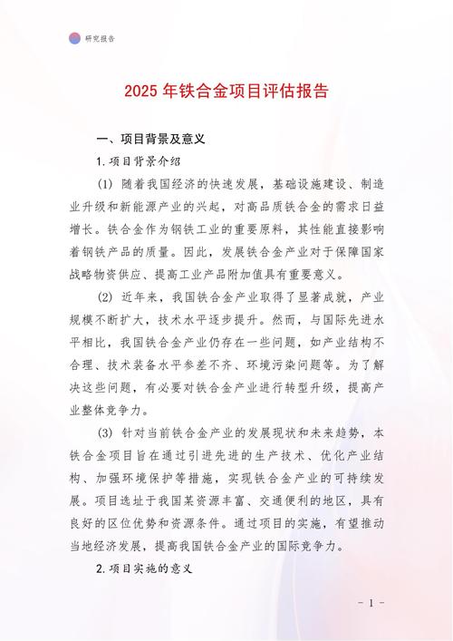 2025年评估报告（评估报告会）