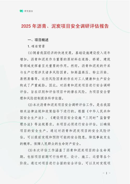 2025年评估报告（评估报告会）