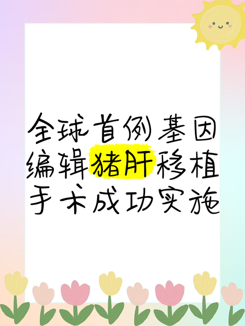 ‌全球首款基因编辑猪肾移植人体的简单介绍