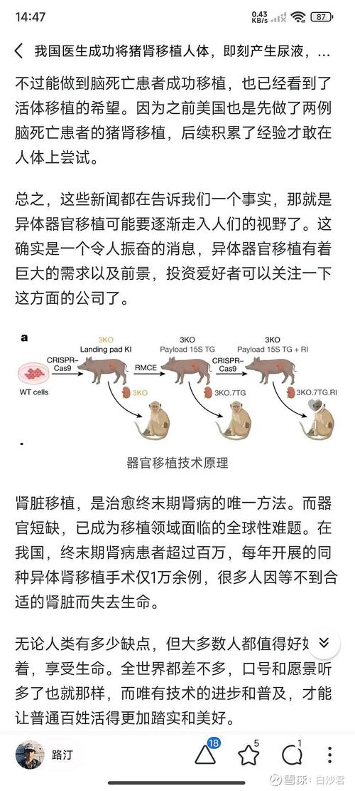 ‌全球首款基因编辑猪肾移植人体的简单介绍