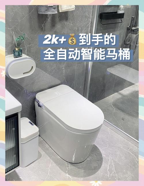智能马桶社交(智能马桶体验)