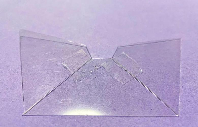 全息投影宠物(全息投影宠物怎么做)