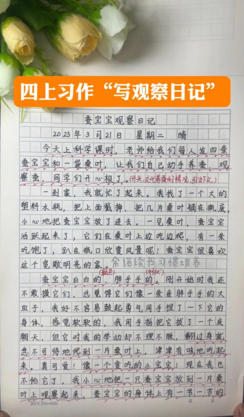 全职儿女观察日记(全职儿女观察日记怎么写)