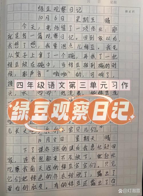 全职儿女观察日记(全职儿女观察日记怎么写)