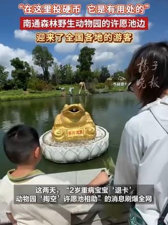 许愿池硬币变善款(许愿硬币怎么用)