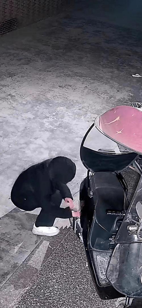 笨贼偷车推3公里(偷车贼2)