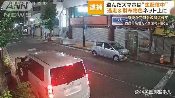 笨贼偷车推3公里(偷车贼2)