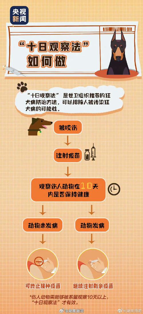 宠物伤人事件(宠物伤人该如何处罚)