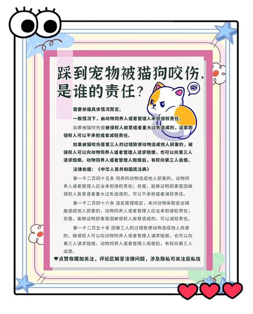 宠物伤人事件(宠物伤人该如何处罚)