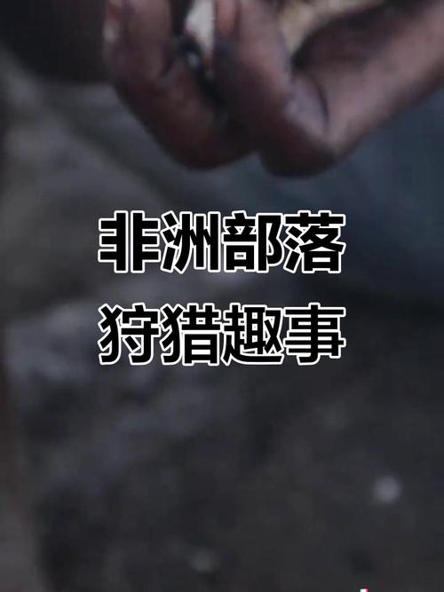 非洲安全新趣事(非洲重要事件)