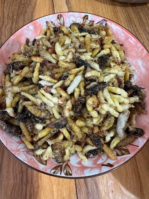 昆虫美食节试吃（昆虫美食节试吃视频）