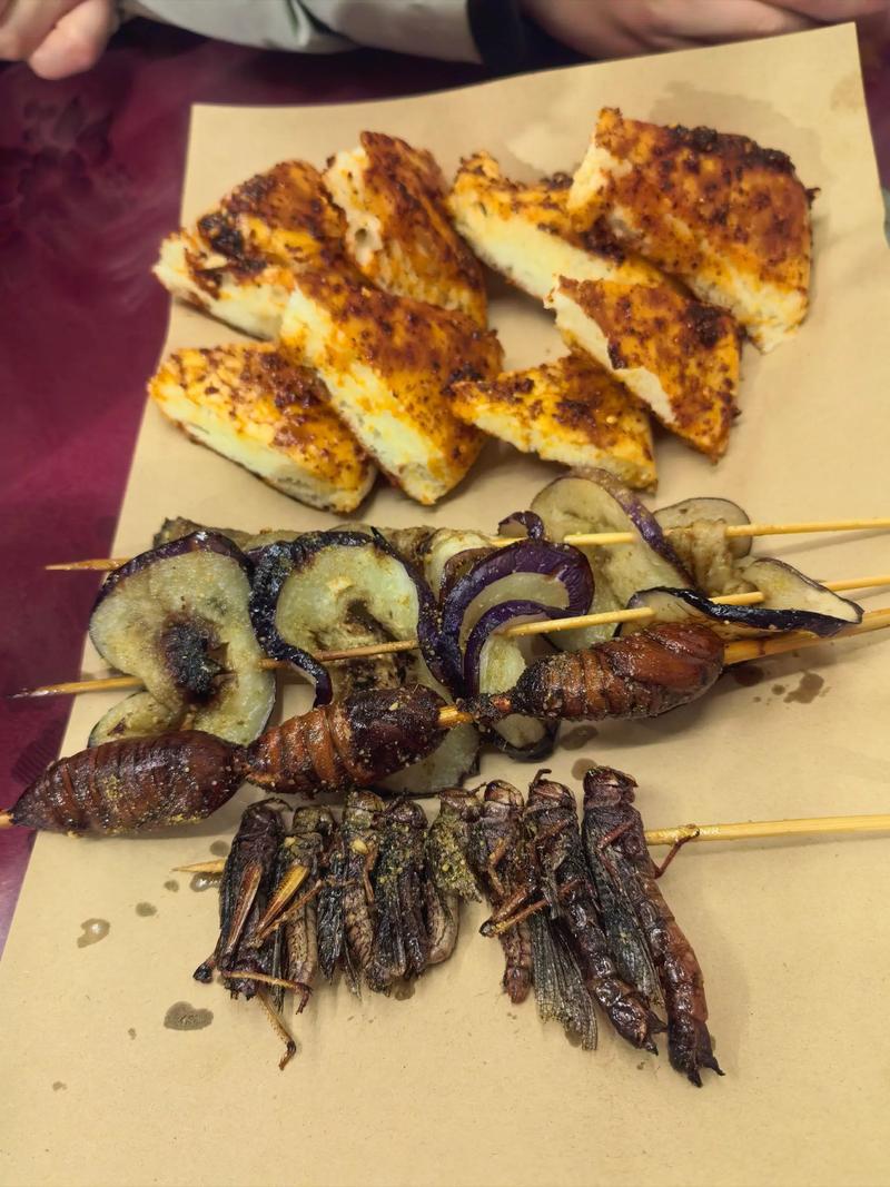 昆虫美食节试吃（昆虫美食节试吃视频）